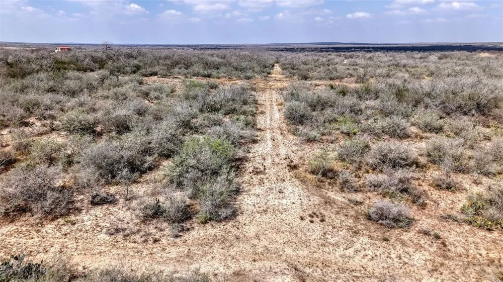W County Road 239 Orange Grove, TX 78372