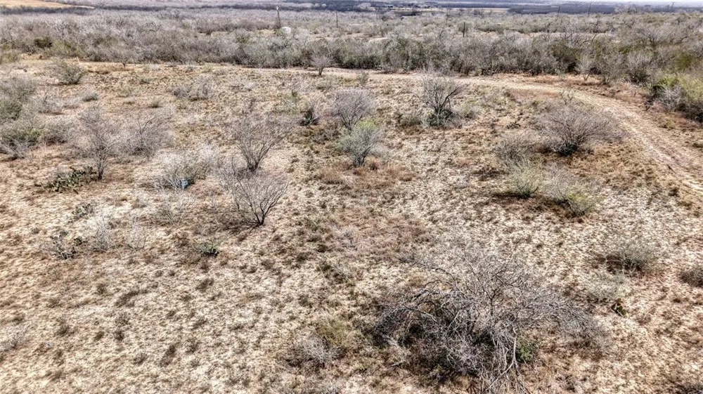 W County Road 239 Orange Grove, TX 78372