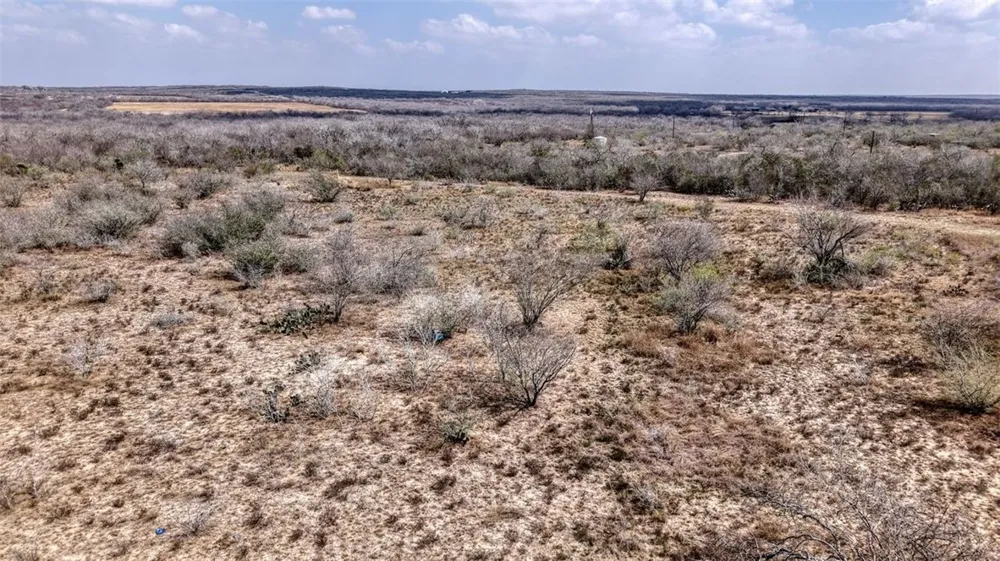 W County Road 239 Orange Grove, TX 78372
