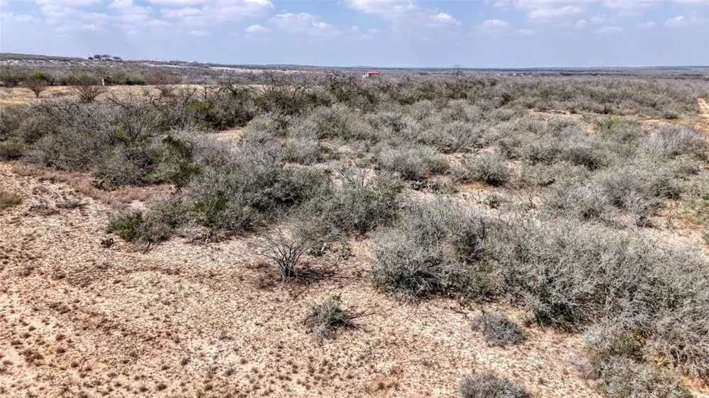 W County Road 239 Orange Grove, TX 78372