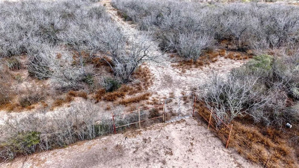W County Road 239 Orange Grove, TX 78372