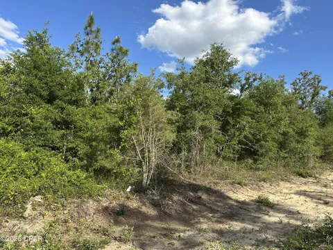 NW Lakeside Avenue #Lot 16 & 17