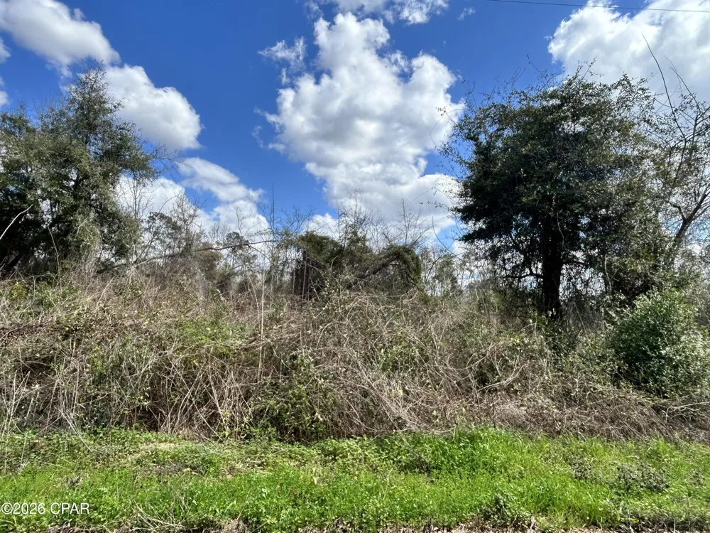 London Road Cottondale, FL 32431