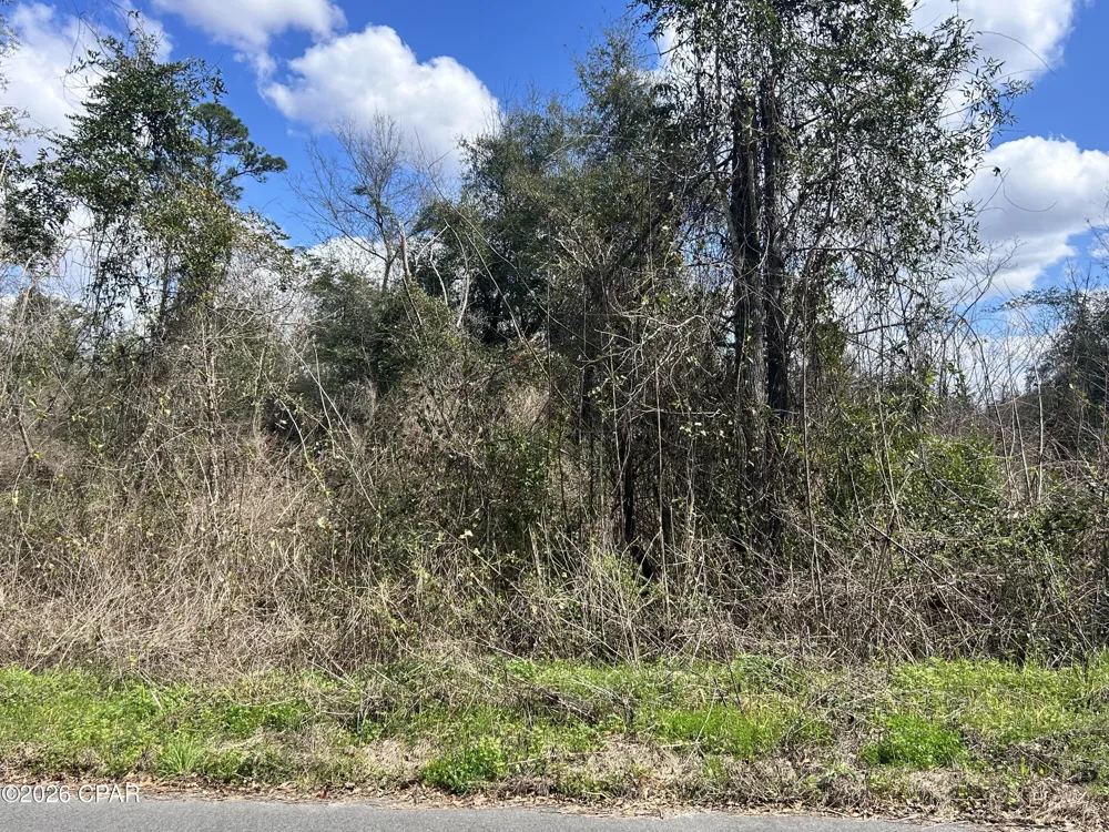 London Road Cottondale, FL 32431