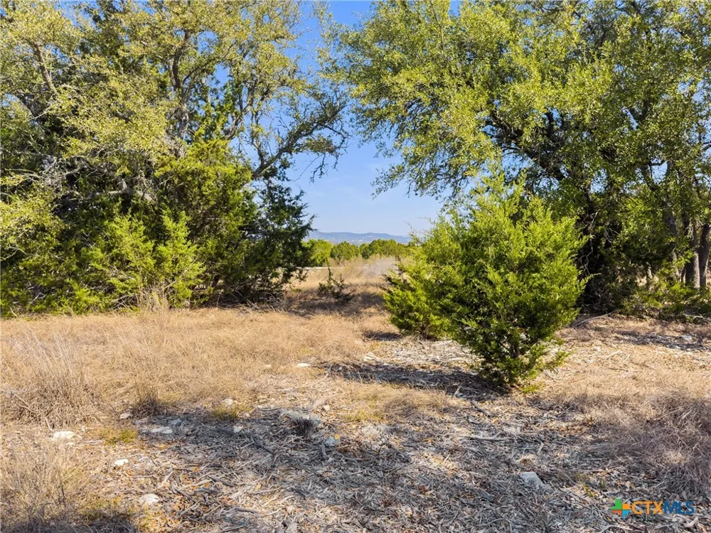1046 Buckskin Trail Bandera, TX 78003