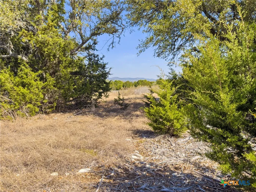 1046 Buckskin Trail Bandera, TX 78003