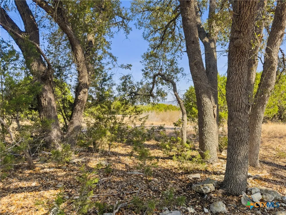 1046 Buckskin Trail Bandera, TX 78003