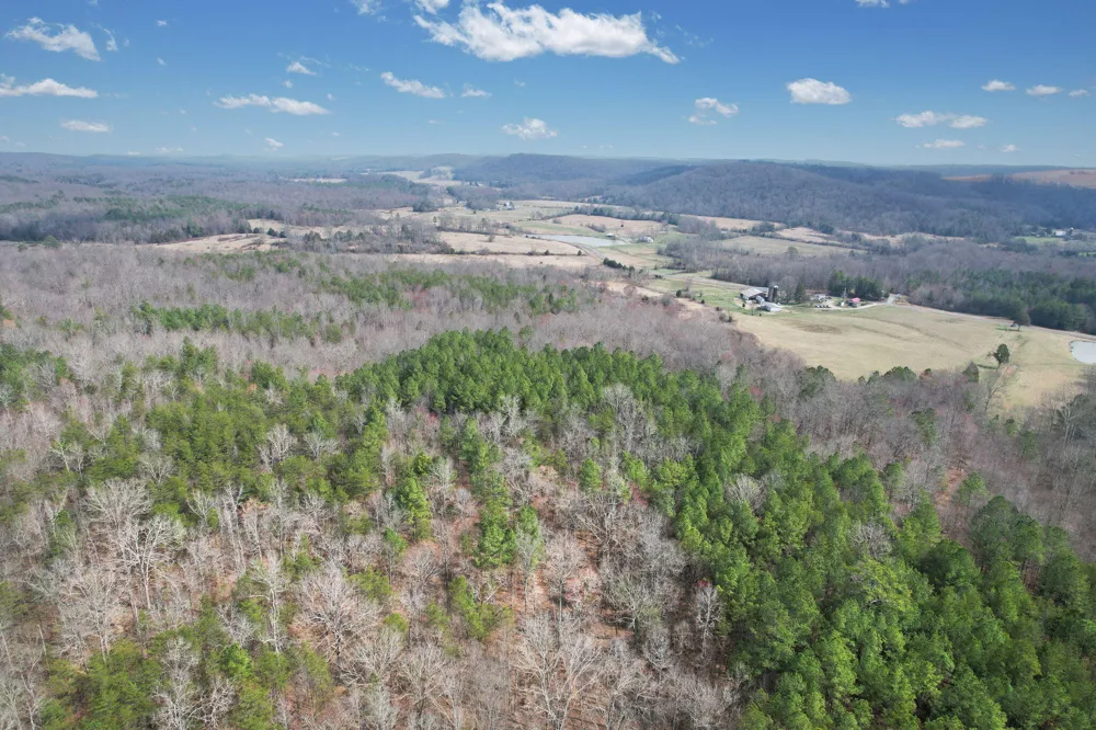 305 County Road 180 Athens, TN 37303