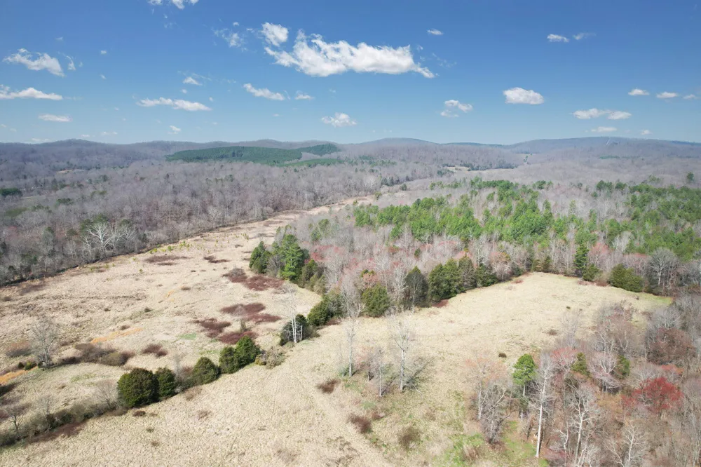 305 County Road 180 Athens, TN 37303