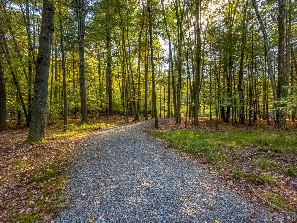 61 Top Ridge Trail White Lake, NY 12786