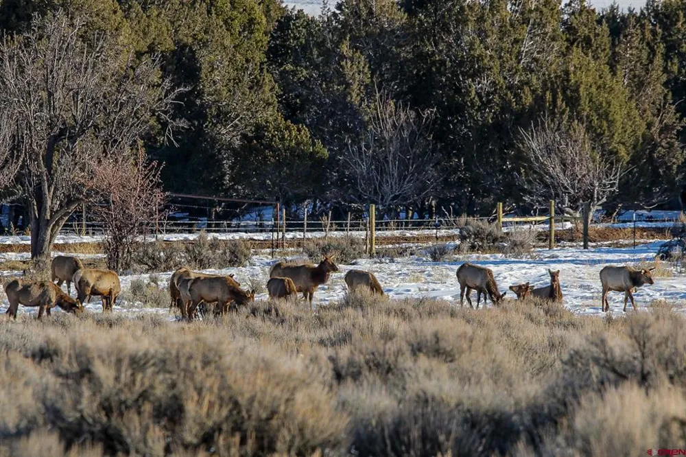 75707 B76 ROAD Crawford, CO 81415