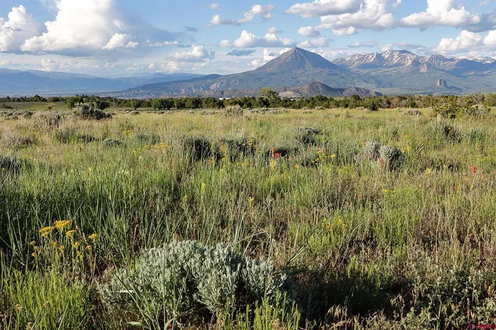 75707 B76 ROAD Crawford, CO 81415