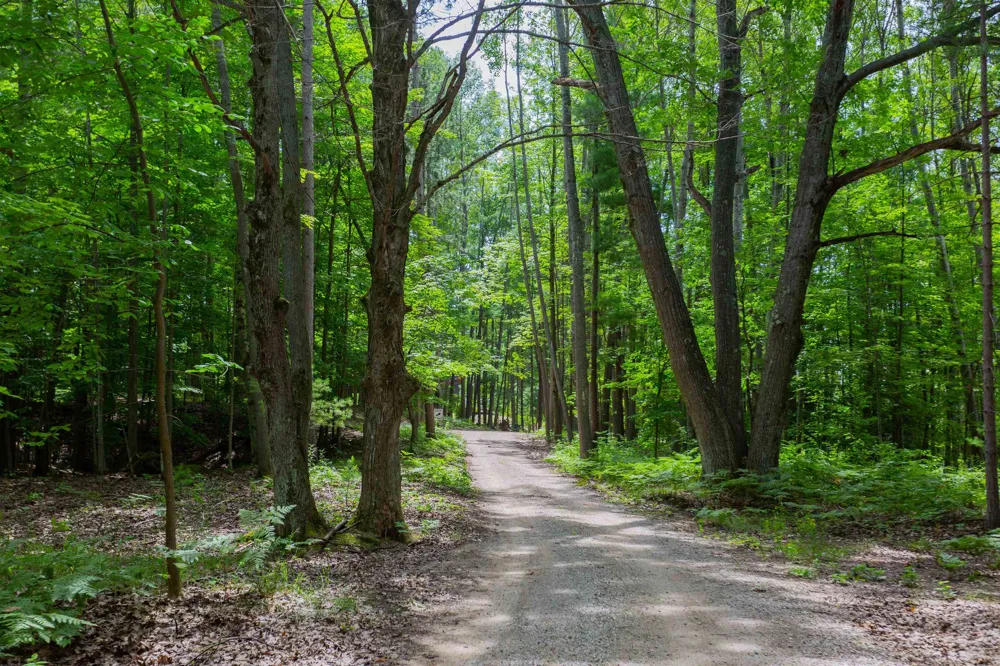 7103 Lake View Ridge Almira Township, MI 49650