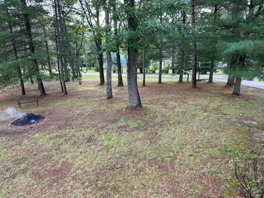 1690 Buena Vista Avenue Grant Township, MI 48748