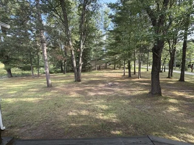 1690 Buena Vista Avenue Grant Township, MI 48748