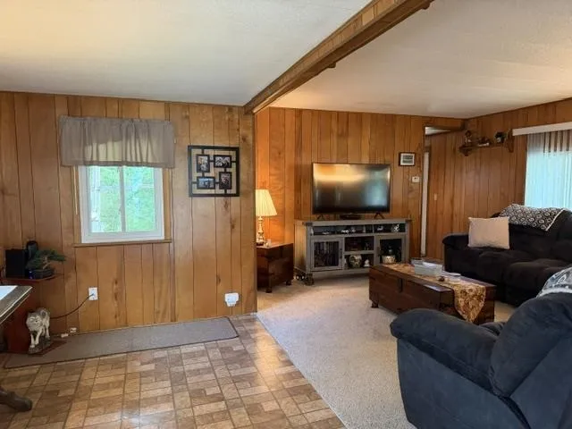 1690 Buena Vista Avenue Grant Township, MI 48748