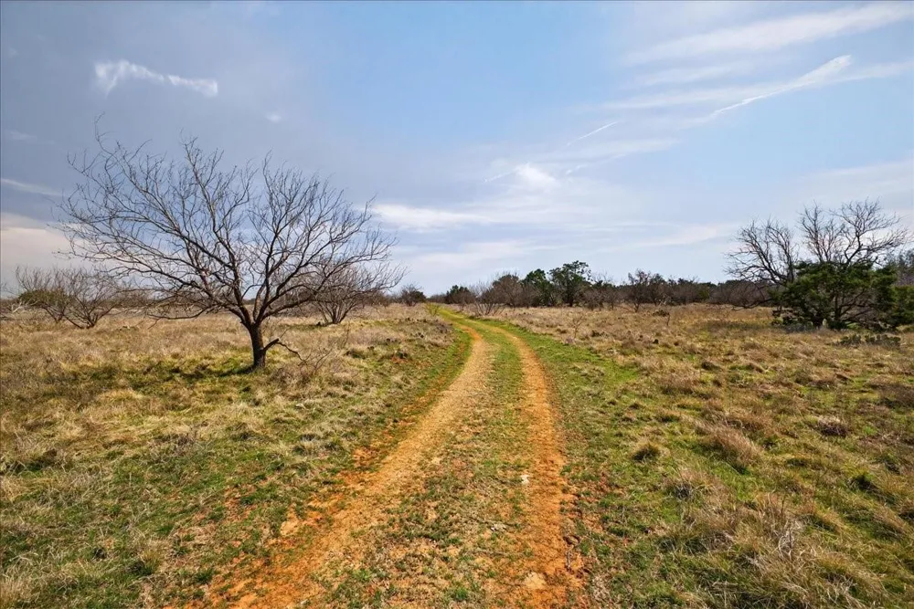 4140 State Highway 16 Graford, TX 76449