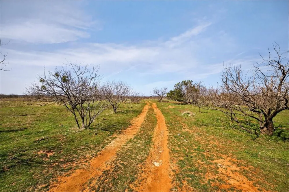 4140 State Highway 16 Graford, TX 76449