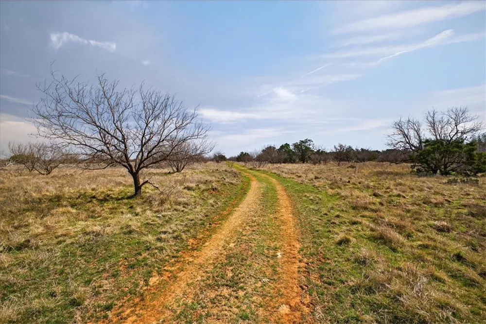 4140 State Highway 16 Other, TX 76449