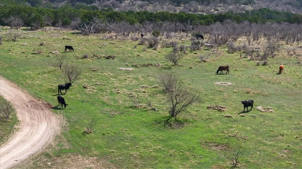 4140 State Highway 16 Other, TX 76449