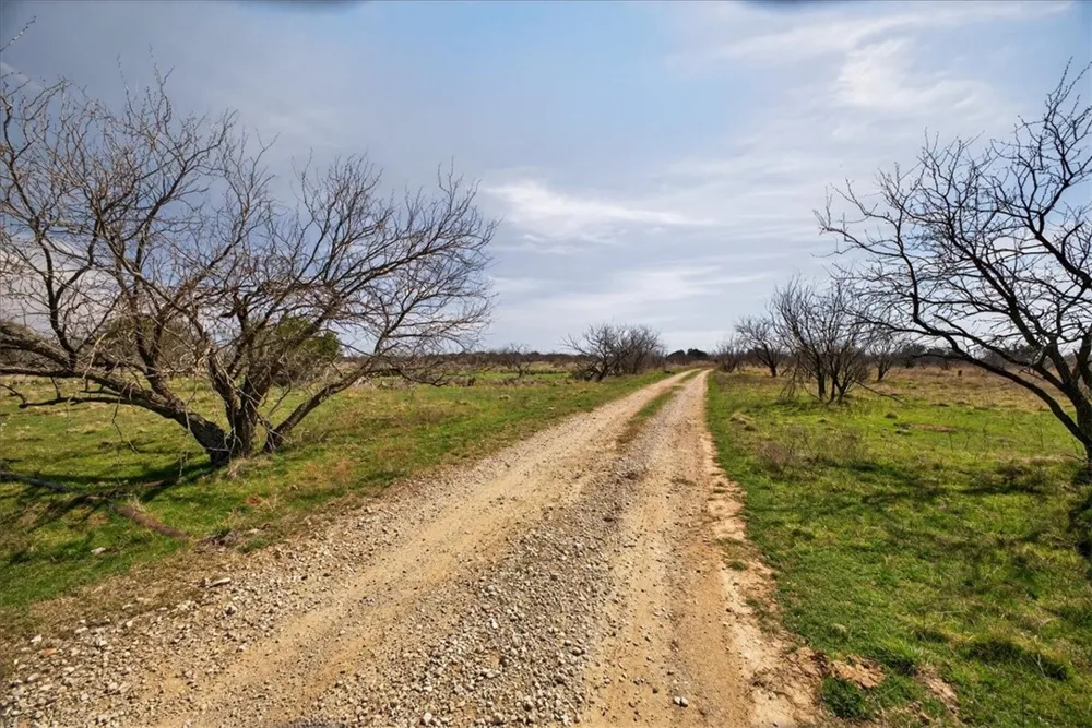 4140 State Highway 16 Other, TX 76449