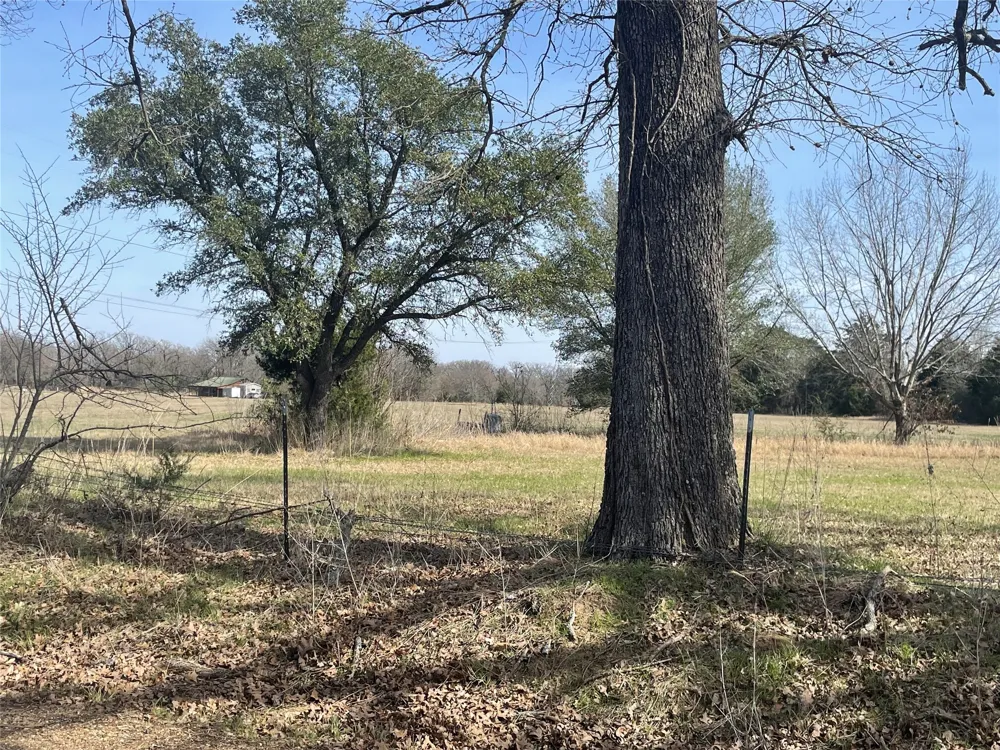 1226 Vz County Road Grand Saline, TX 75140