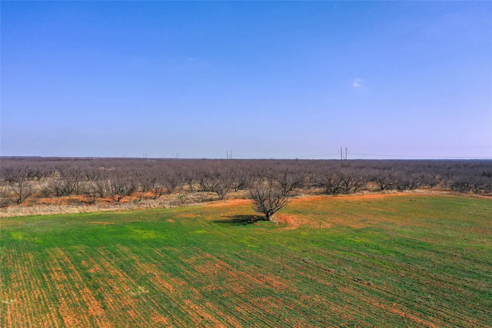 Kimbrough Road Haskell, TX 79521