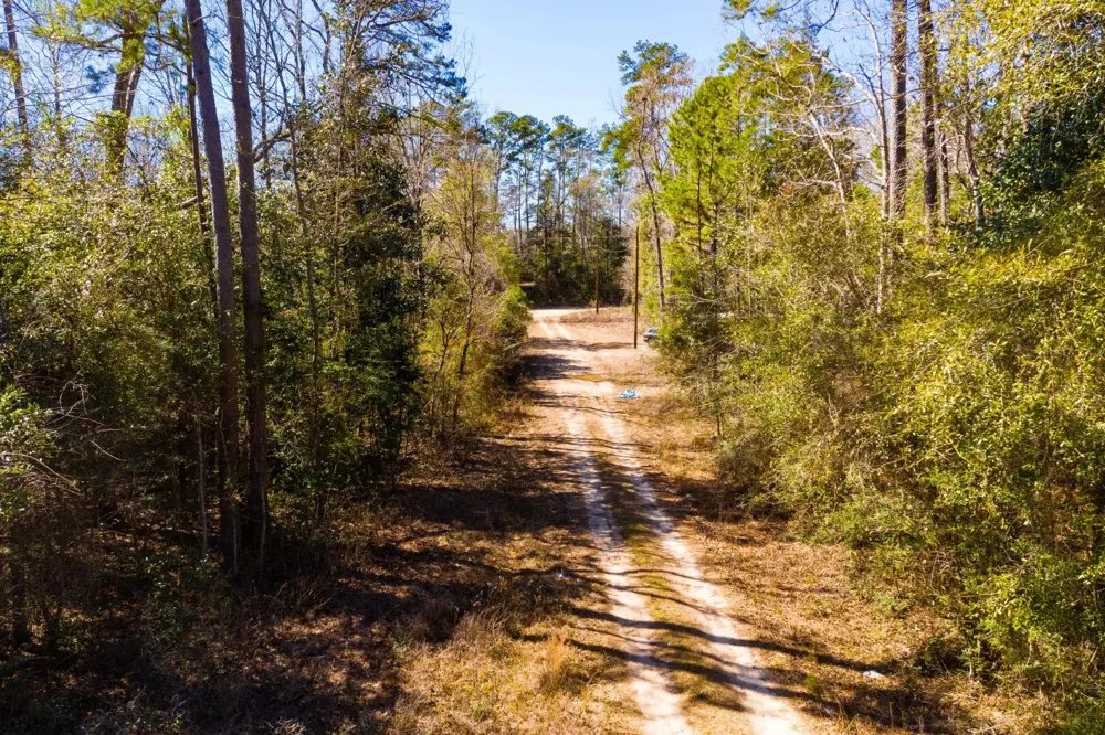 Lady Georgie Street Woodville, TX 75979