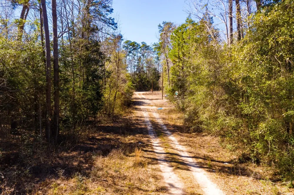 Lady Georgie Street Woodville, TX 75979