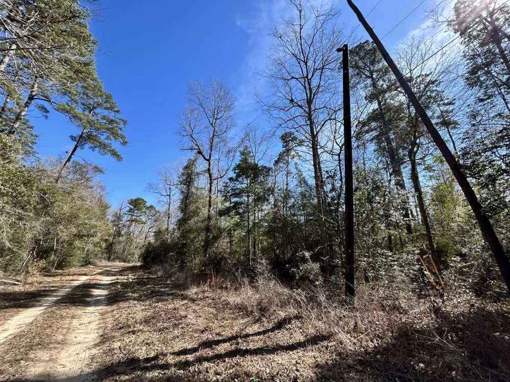 Lady Georgie Street Woodville, TX 75979