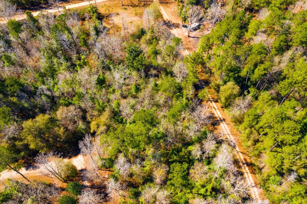 Lady Georgie Street Woodville, TX 75979