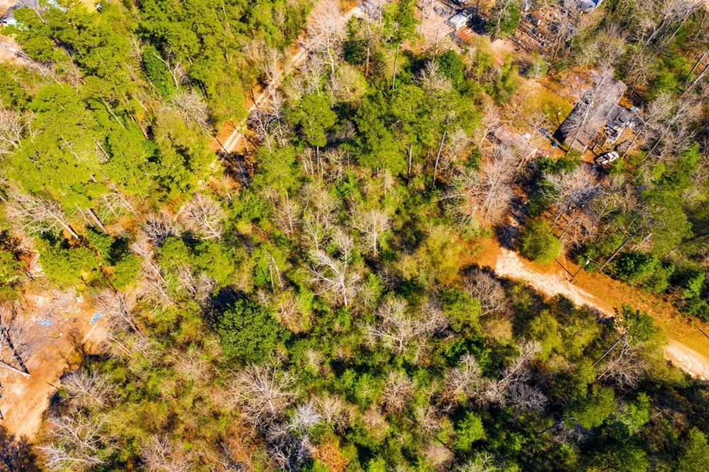 Lady Georgie Street Woodville, TX 75979