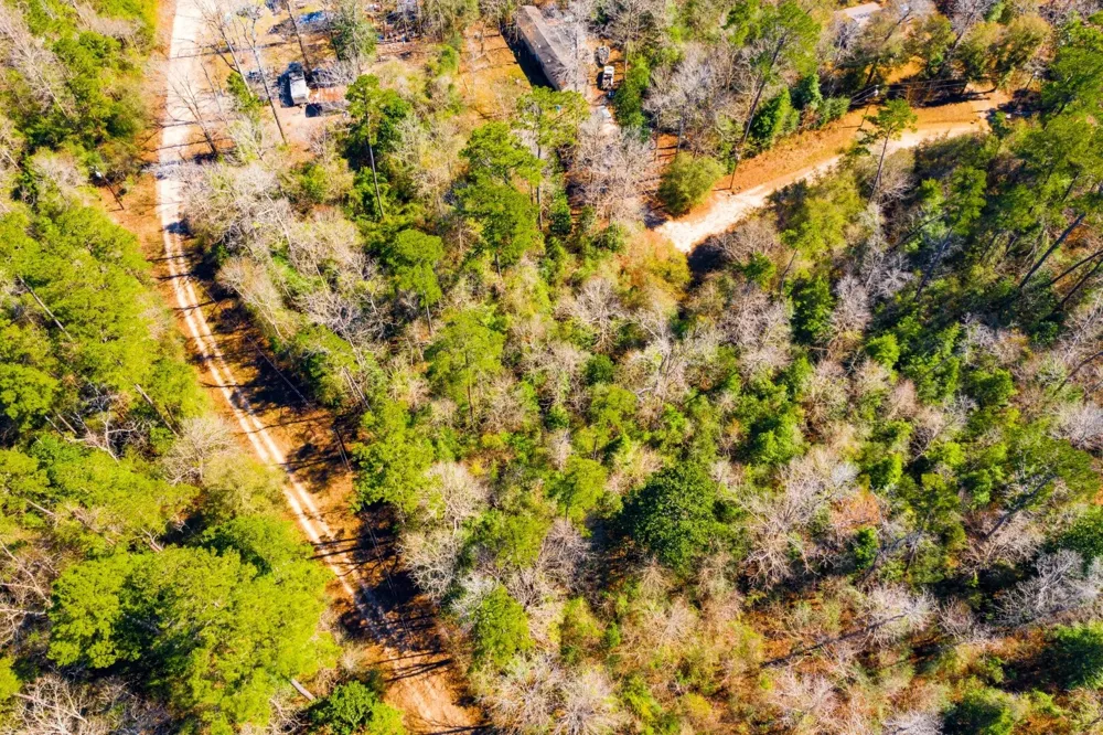 Lady Georgie Street Woodville, TX 75979