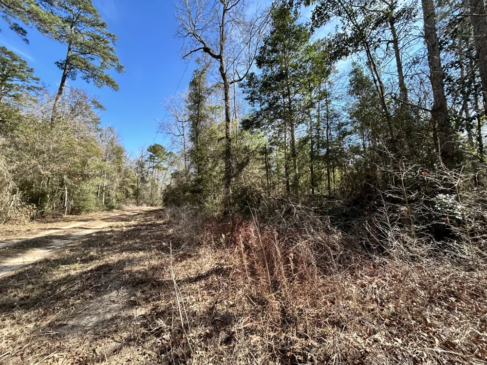 Lady Georgie Street Woodville, TX 75979