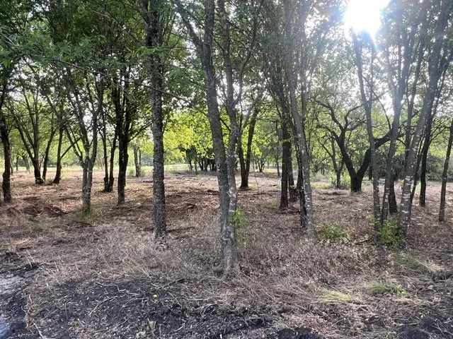 661 Joanna Lane Italy, TX 76651