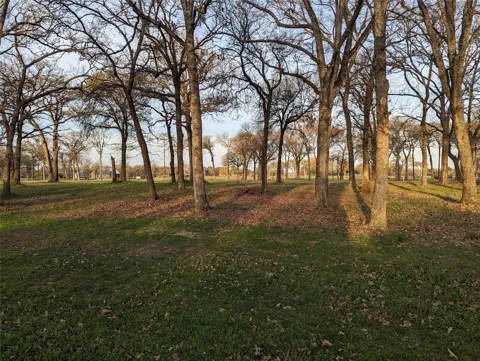 Briarwood Drive