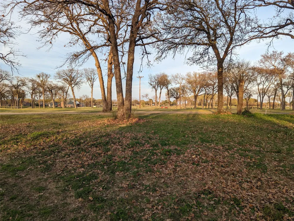 Briarwood Drive Kemp, TX 75143
