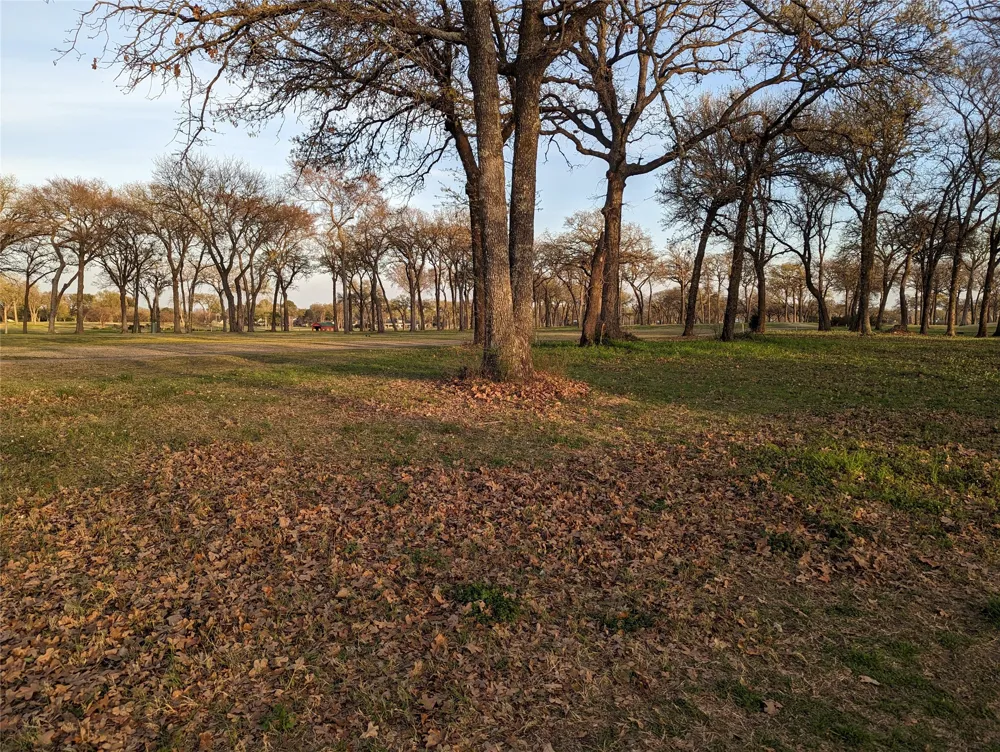 Briarwood Drive Kemp, TX 75143