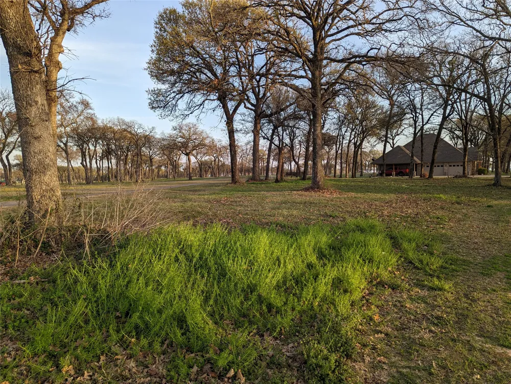 Briarwood Drive Kemp, TX 75143