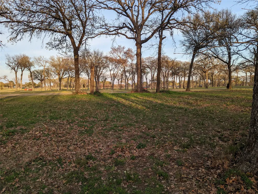 Briarwood Drive Kemp, TX 75143