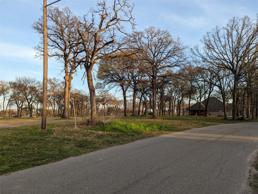 Briarwood Drive Kemp, TX 75143