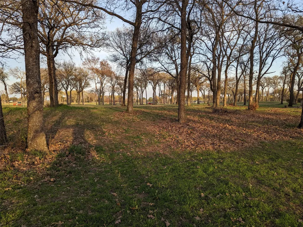 Briarwood Drive Kemp, TX 75143