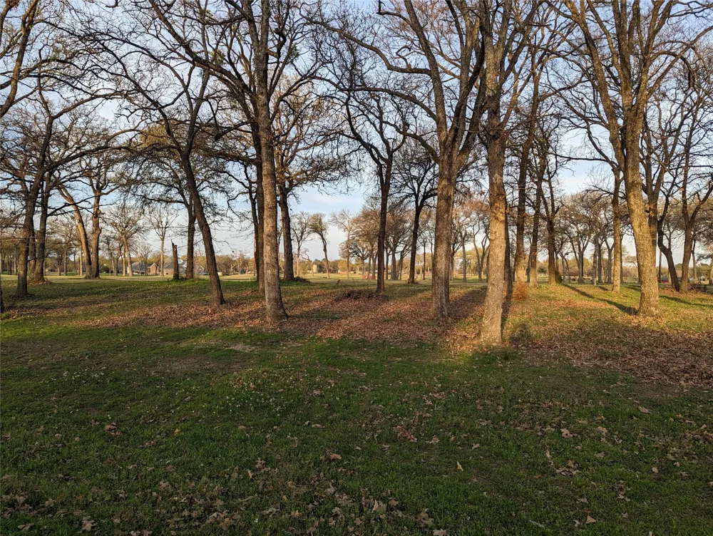 Briarwood Drive Kemp, TX 75143