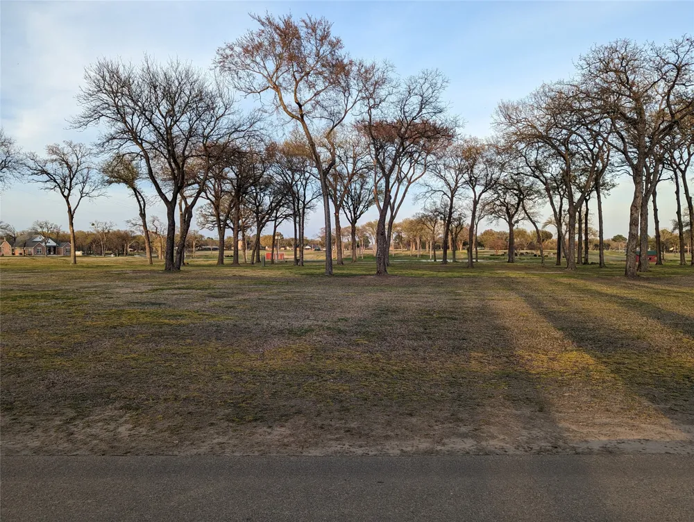 Briarwood Drive Kemp, TX 75143