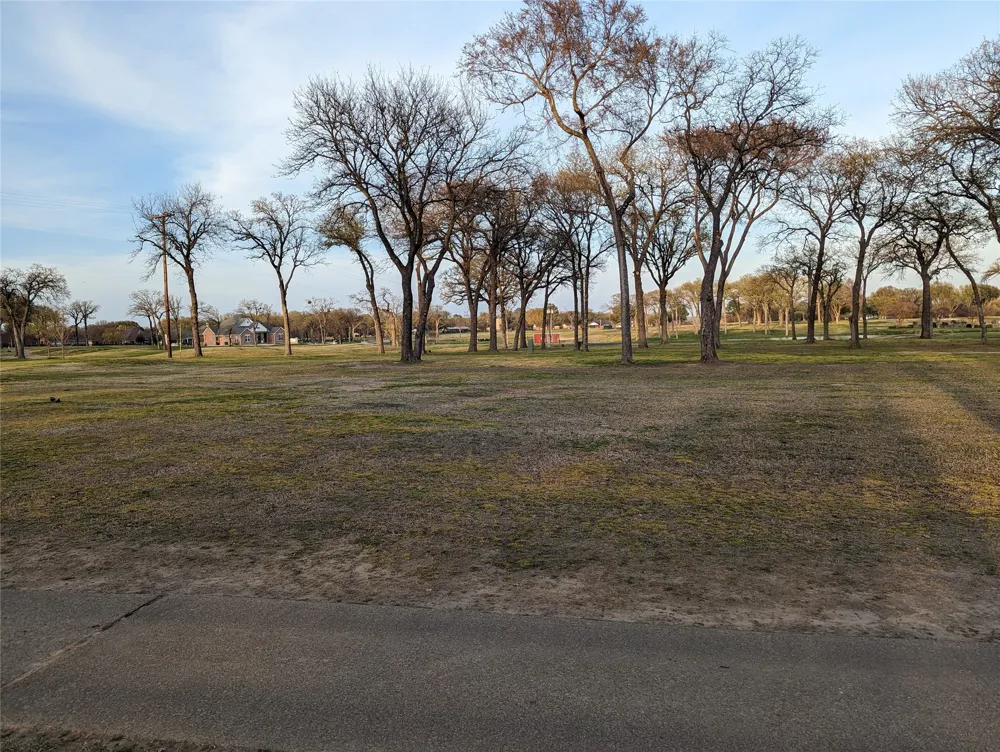 Briarwood Drive Kemp, TX 75143
