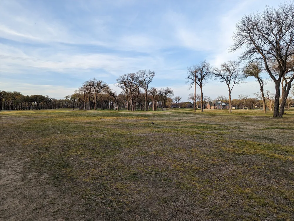 Briarwood Drive Kemp, TX 75143