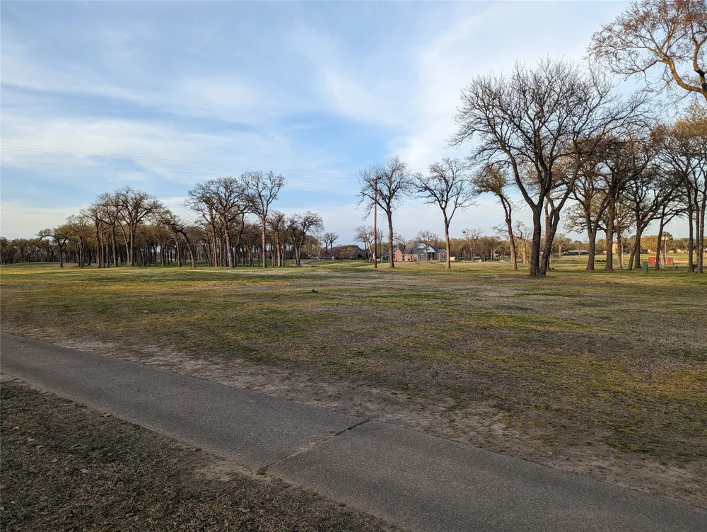 Briarwood Drive Kemp, TX 75143