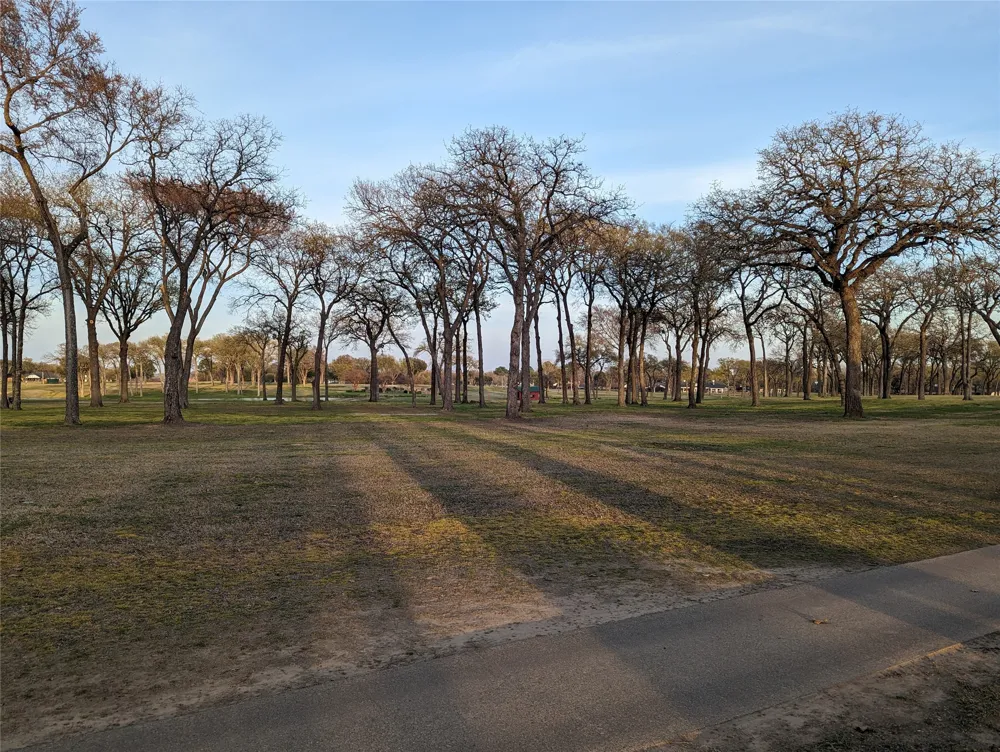 Briarwood Drive Kemp, TX 75143