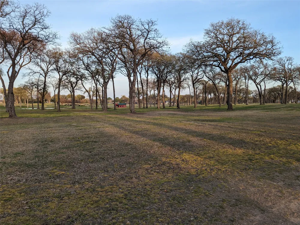 Briarwood Drive Kemp, TX 75143