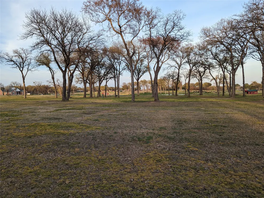 Briarwood Drive Kemp, TX 75143